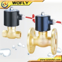 2WB-25 Stainless Steel Water Solenoid valve